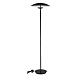 Торшер ST-Luce Черный/Черный, Белый LED 1*13W 3000K SL6502.405.01 - фото