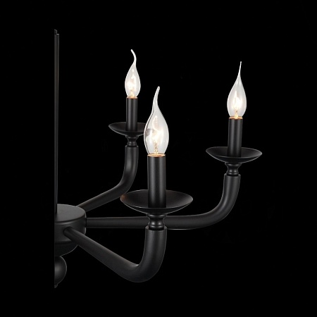 Люстра подвесная ST-Luce Черный E14 6*40W SL1114.403.06 - фото
