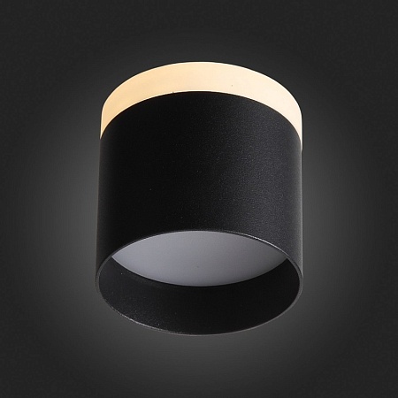 Светильник потолочный Черный LED 1*12W 3000K 936Lm Ra>80 120° IP20 D100xH90 170-240V ST102.402.12 - фото