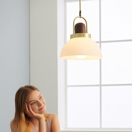 Подвесной Светильник Arc Globe Шар D30 Imperiumloft 191840-26 - фото