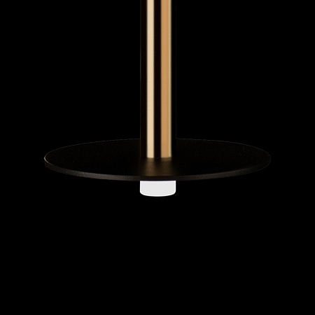 10358/830 Disk AB Подвесной светильник LOFT IT Reed - фото