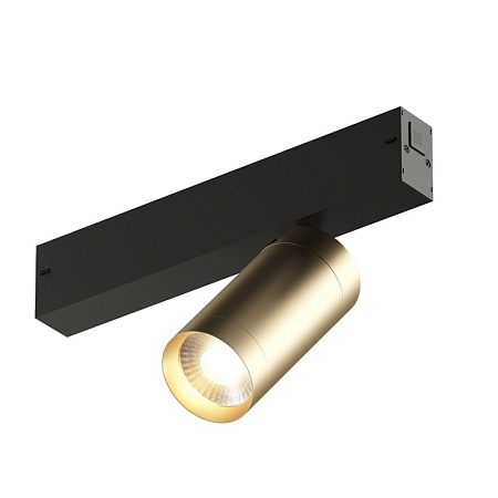 Светильник на шине Denkirs SMART SPOT DK8010-BG - фото