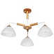 Потолочная люстра Arte Lamp MATTHEW A5032PL-3BR - фото