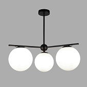 Потолочный светильник Eurosvet 60147/3 черный