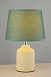 Настольная лампа Arti Lampadari Erchie E 4.1.T4 Y - фото