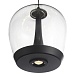 Светильник подвесной ST-Luce Черный/Прозрачный, Черный LED 1*17W 3000K SL6014.423.01 - фото