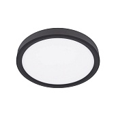 10227/24 Black Потолочный светильник LOFT IT Extraslim