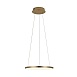 10014S Подвесной светильник LOFT IT Ring - фото