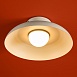 Потолочный светильник Freya FR5602CL-L10W - фото