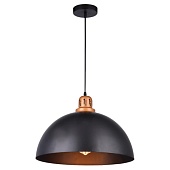 Подвесной светильник Arte Lamp EURICA A4249SP-1BK