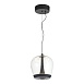 Светильник подвесной ST-Luce Черный/Прозрачный, Черный LED 1*17W 3000K SL6014.423.01 - фото